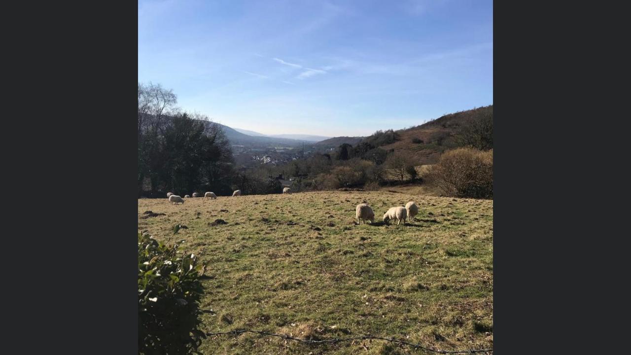 Swansea Log Cabin Pontardawe Ngoại thất bức ảnh