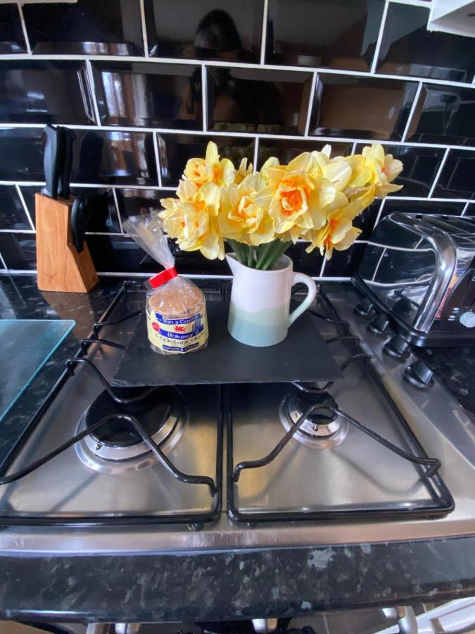 Swansea Log Cabin Pontardawe Ngoại thất bức ảnh