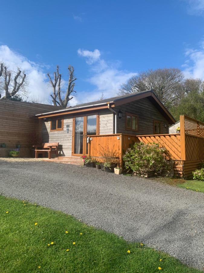 Swansea Log Cabin Pontardawe Ngoại thất bức ảnh