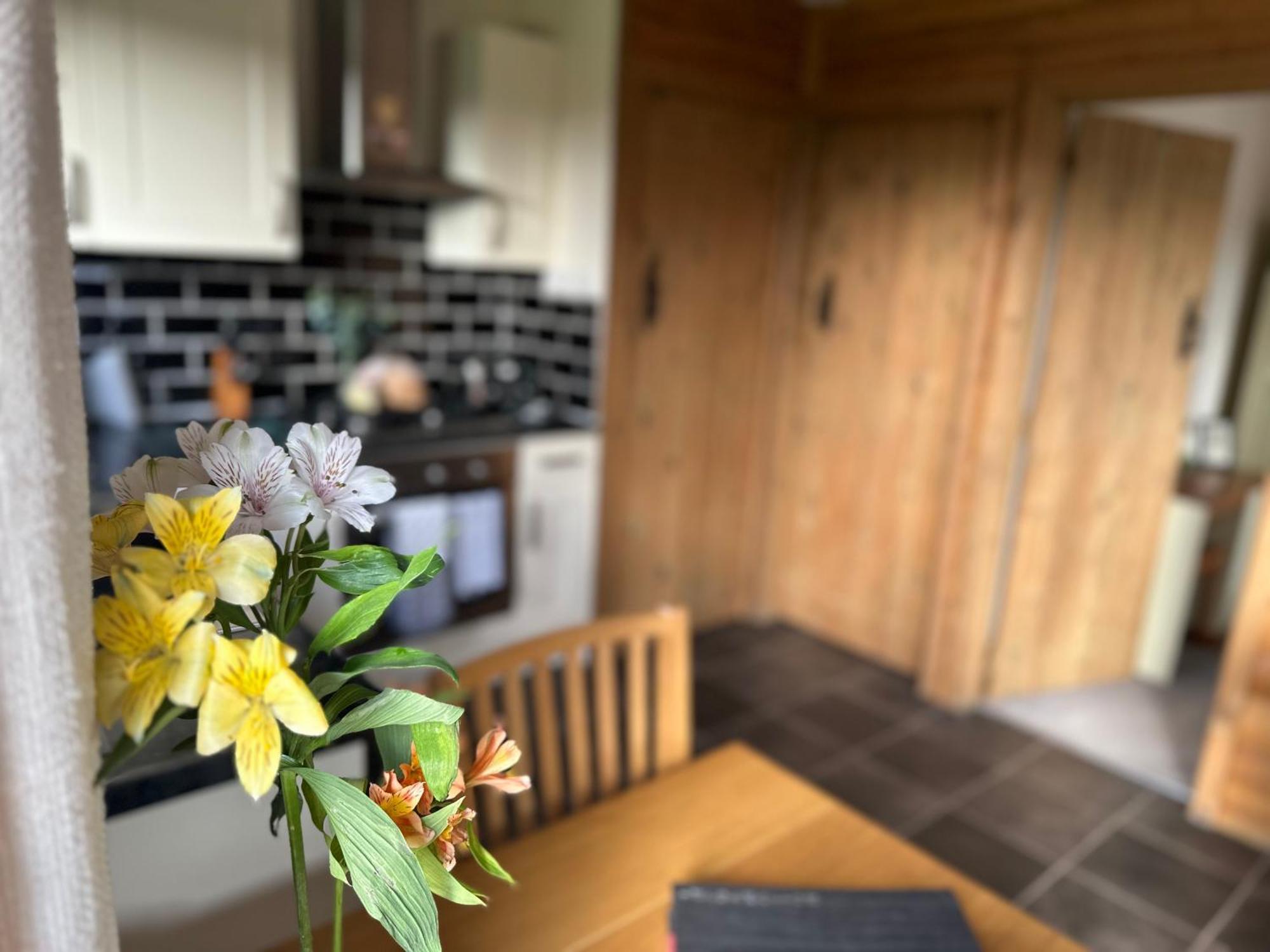 Swansea Log Cabin Pontardawe Ngoại thất bức ảnh