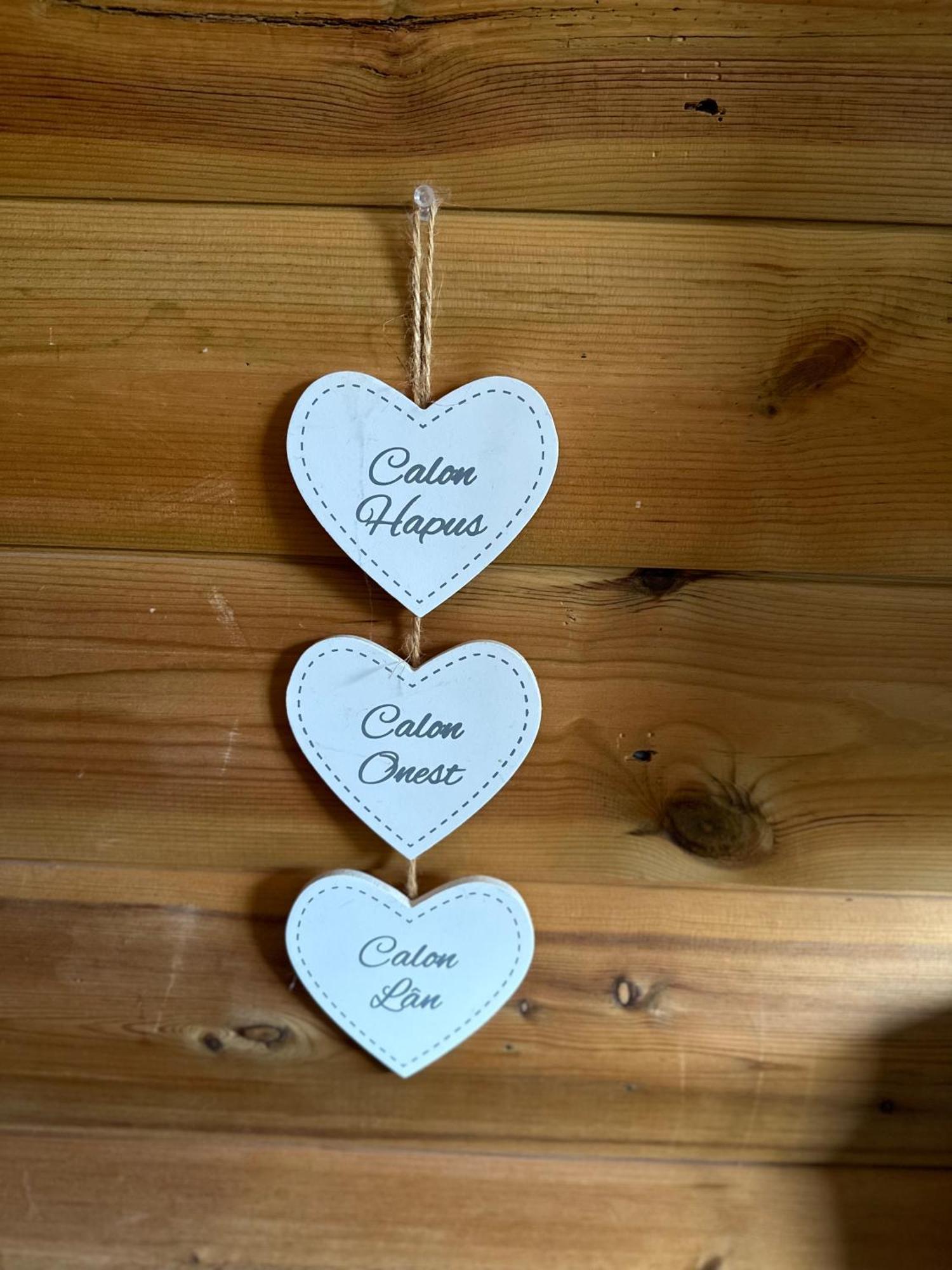 Swansea Log Cabin Pontardawe Ngoại thất bức ảnh