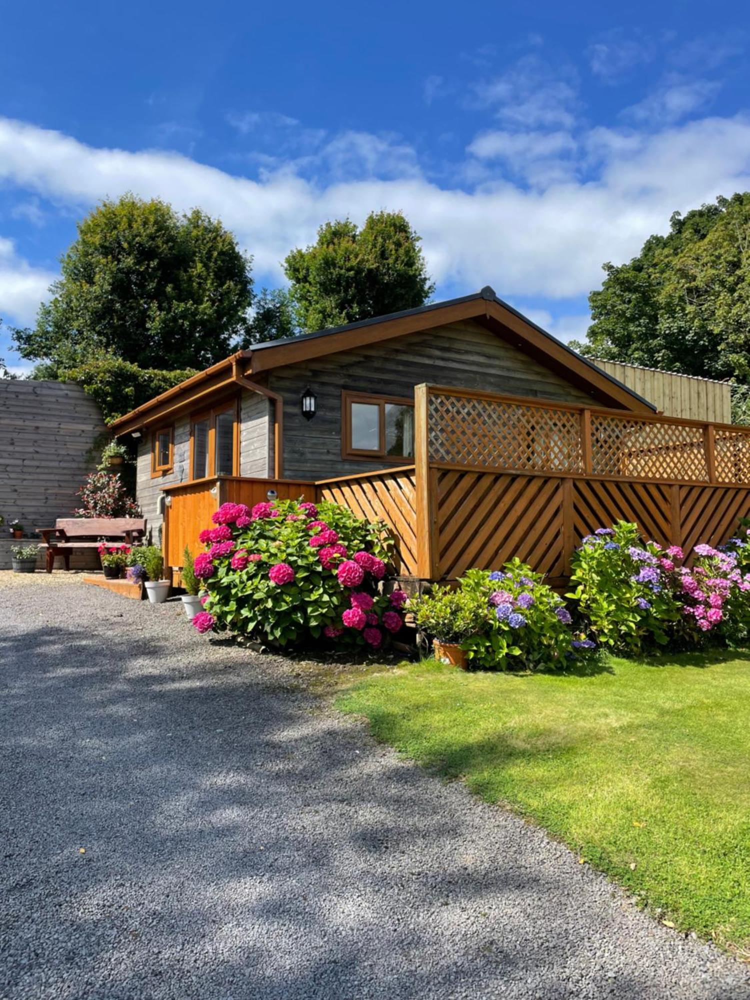 Swansea Log Cabin Pontardawe Ngoại thất bức ảnh