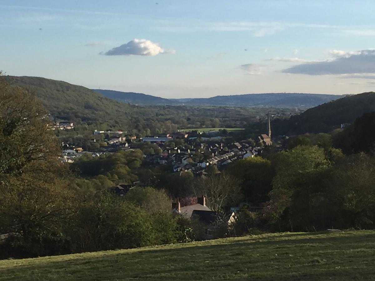 Swansea Log Cabin Pontardawe Ngoại thất bức ảnh