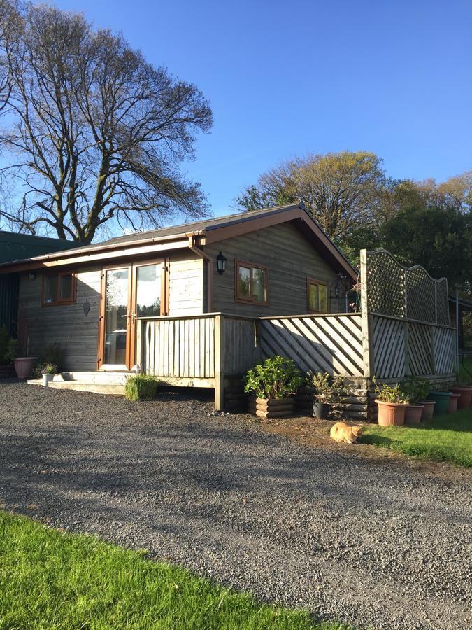 Swansea Log Cabin Pontardawe Ngoại thất bức ảnh