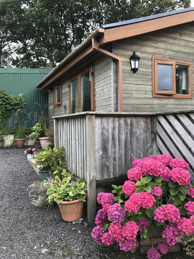 Swansea Log Cabin Pontardawe Ngoại thất bức ảnh